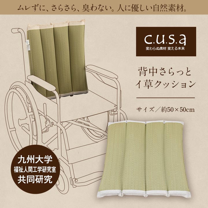 介護 サポート ヘルスケア クッション い草 車いす用 在宅用 体圧分散 ムレにくい 約50×50cm