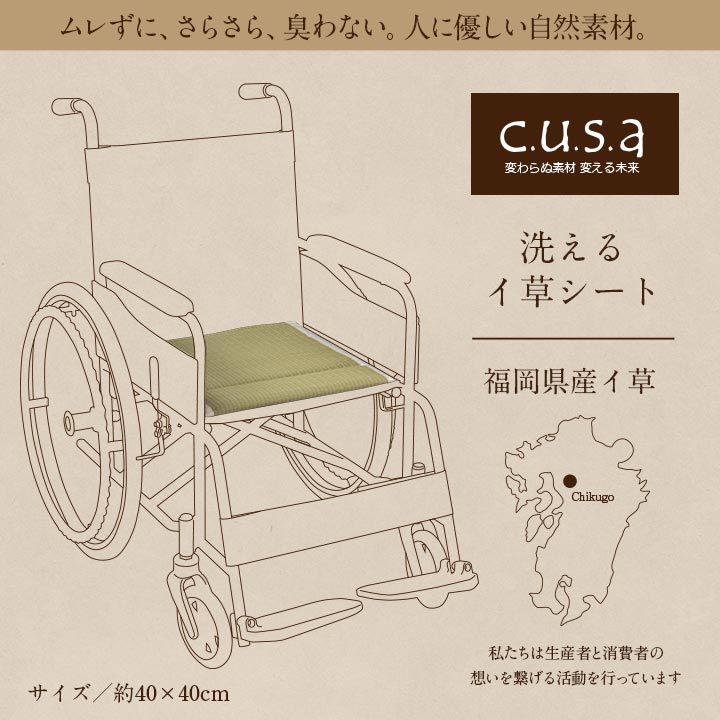 介護 サポート ヘルスケア クッション 消臭 通気性抜群 い草 約40×40cm